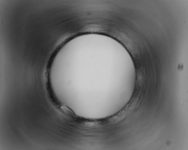 X0000102490160200809051330