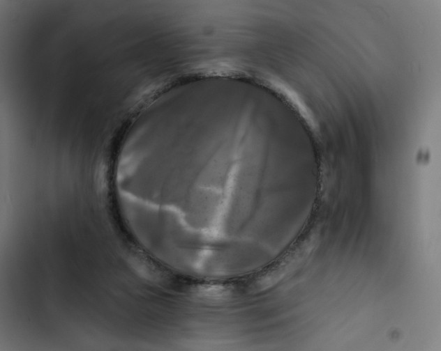 X0000102490161200809051330