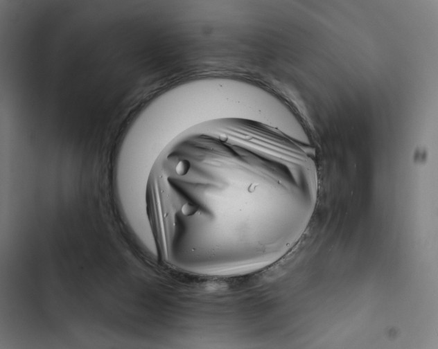 X0000102490162200809051330