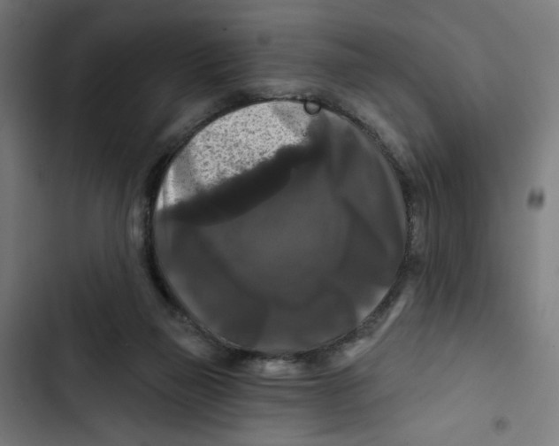 X0000102490165200809051330