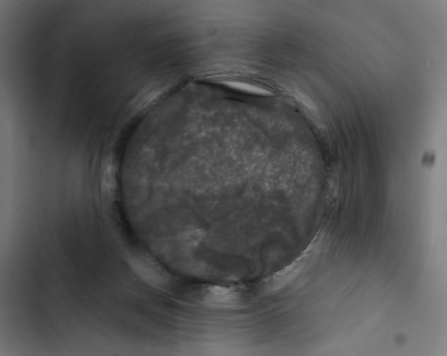 X0000102490166200809051330