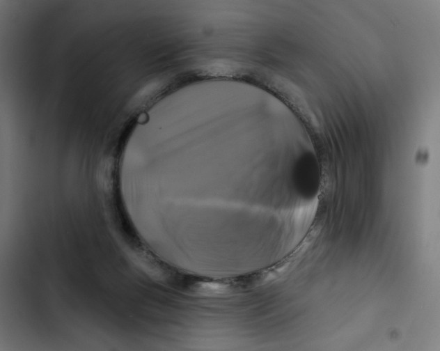 X0000102490167200809051330