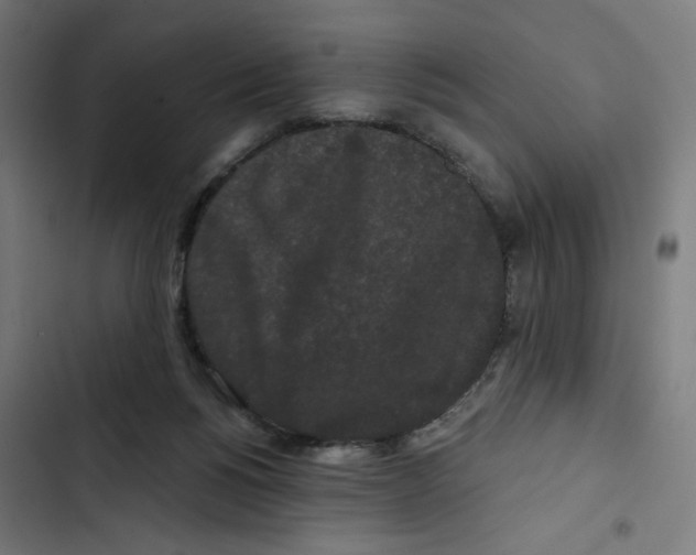 X0000102490168200809051330