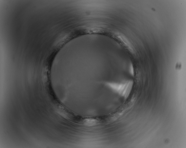 X0000102490169200809051330