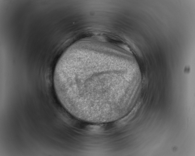 X0000102490170200809051330