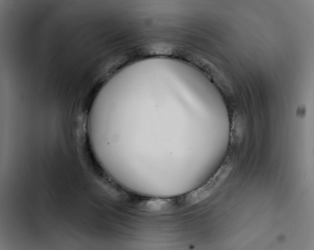 X0000102490172200809051330