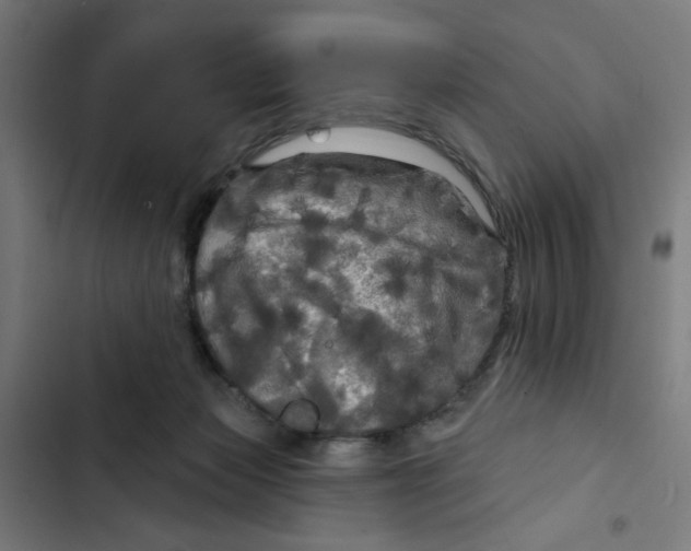 X0000102490173200809051330