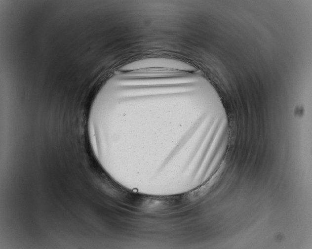 X0000102490174200809051330