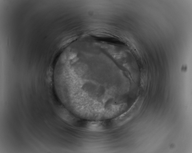 X0000102490175200809051330