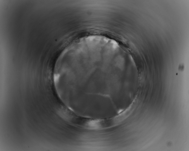 X0000102490178200809051331