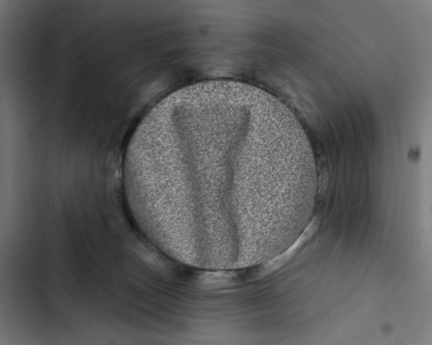 X0000102490179200809051331