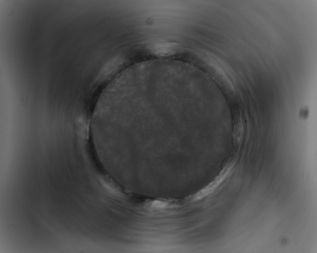 X0000102490180200809051331