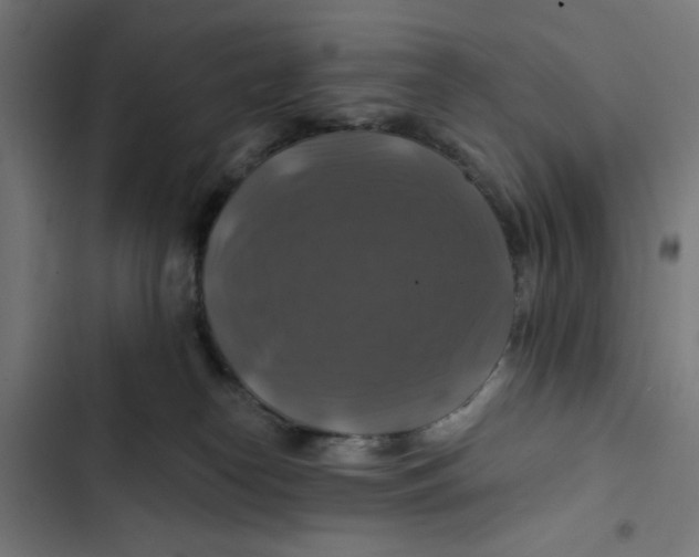 X0000102490182200809051331