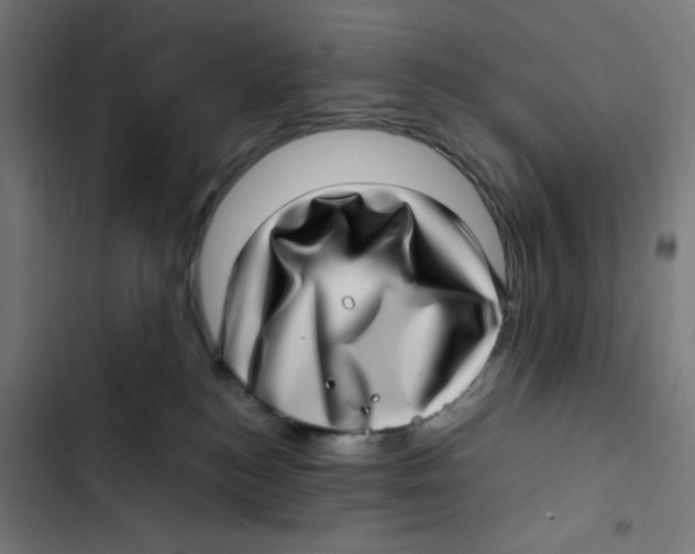 X0000102490184200809051331