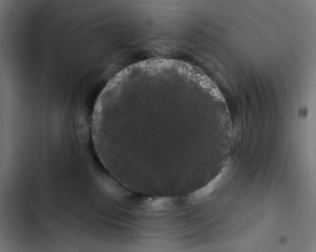 X0000102490186200809051331