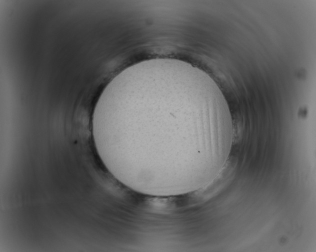 X0000102490187200809051331