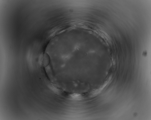 X0000102490189200809051331