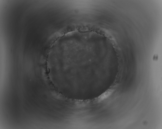 X0000102490192200809051331