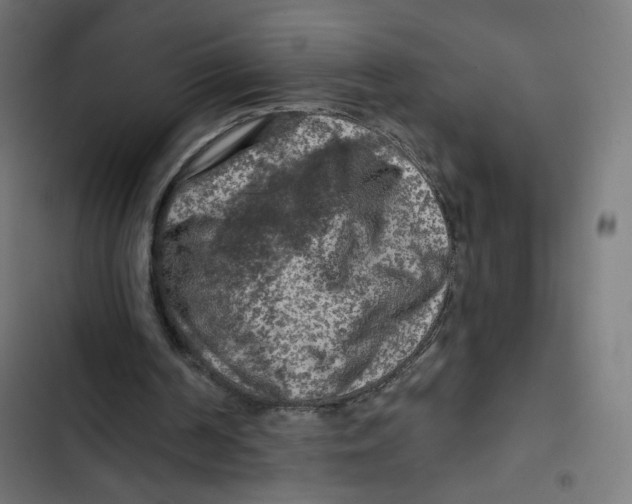 X0000102490194200809051330