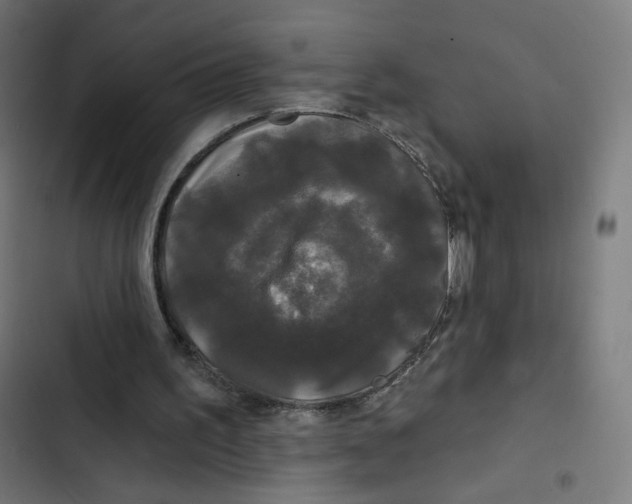 X0000102490195200809051330