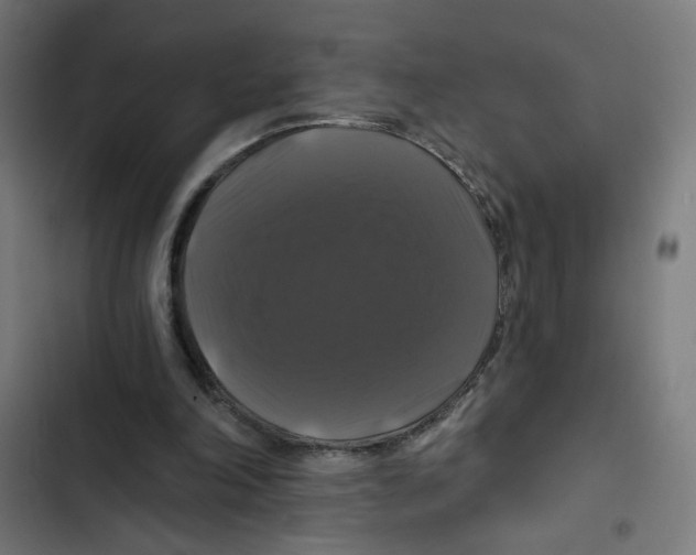 X0000102490198200809051330