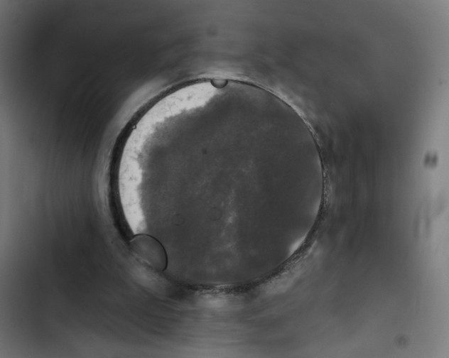 X0000102490199200809051330