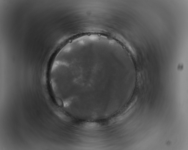 X0000102490203200809051330