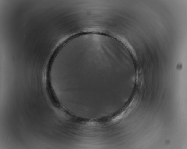 X0000102490204200809051330