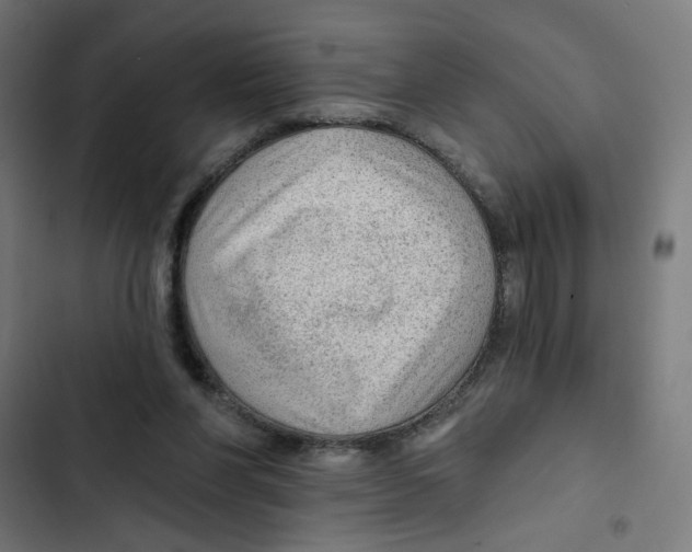 X0000102490206200809051330