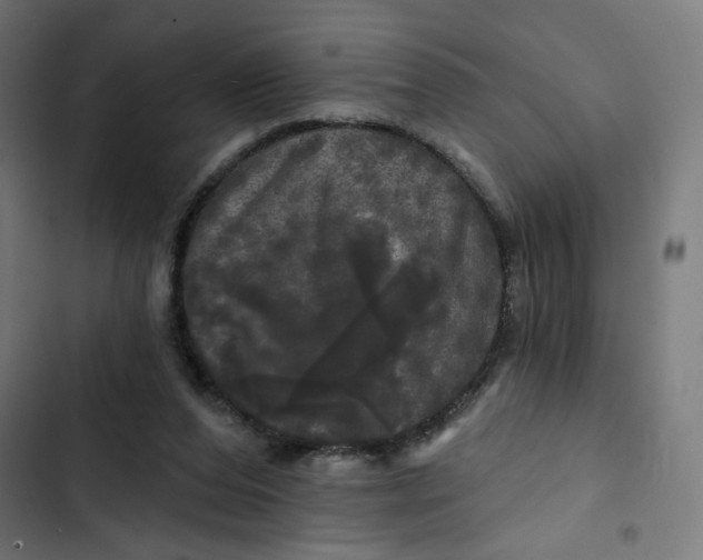 X0000102490208200809051330