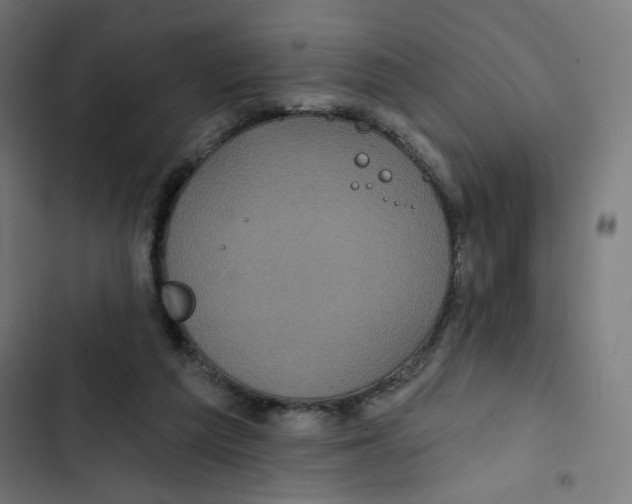 X0000102490209200809051330