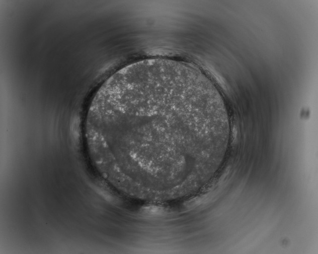 X0000102490211200809051330