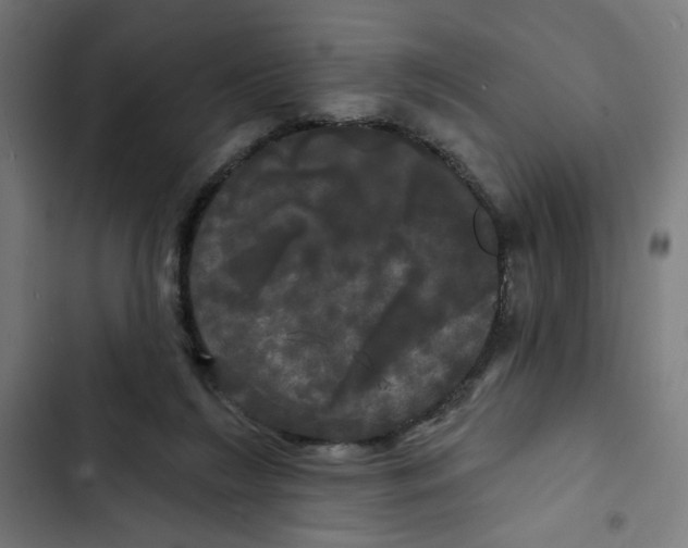 X0000102490212200809051330