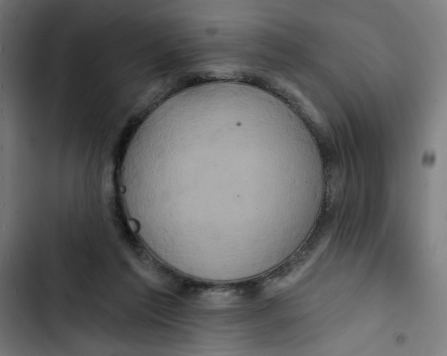 X0000102490213200809051330