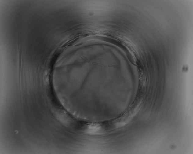 X0000102490214200809051330