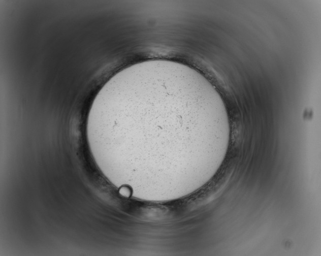 X0000102490215200809051330