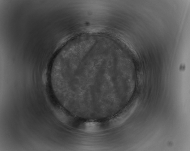 X0000102490216200809051330