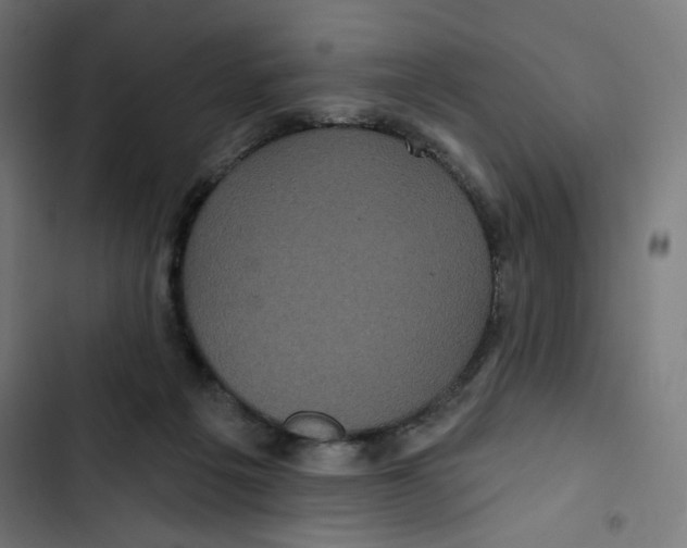 X0000102490217200809051330