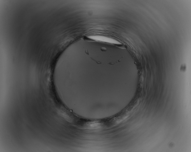 X0000102490219200809051329