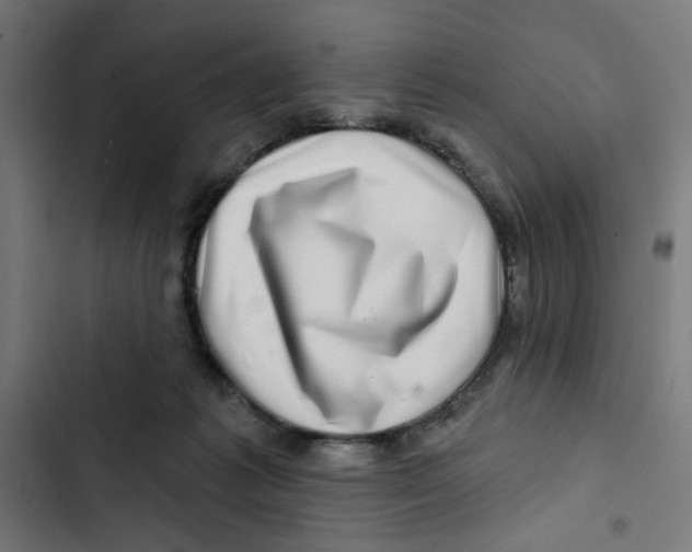 X0000102490221200809051329