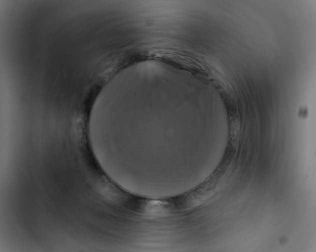 X0000102490222200809051329