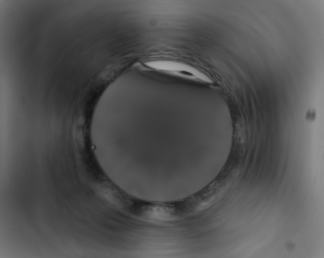 X0000102490223200809051329