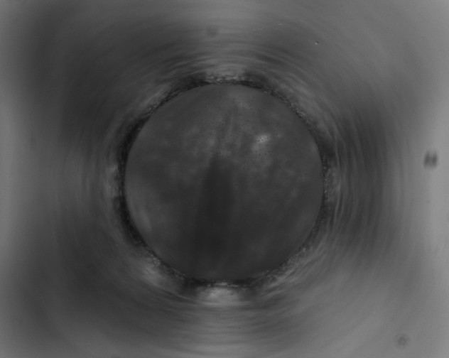 X0000102490224200809051329