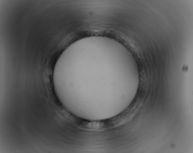 X0000102490225200809051329