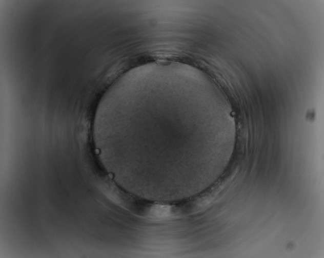 X0000102490227200809051329