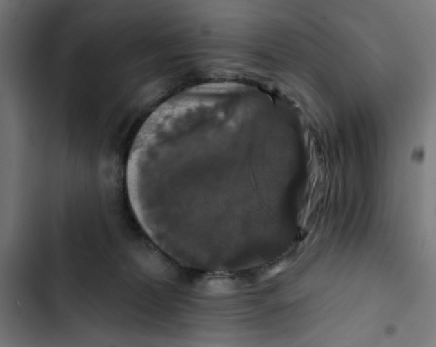 X0000102490228200809051329