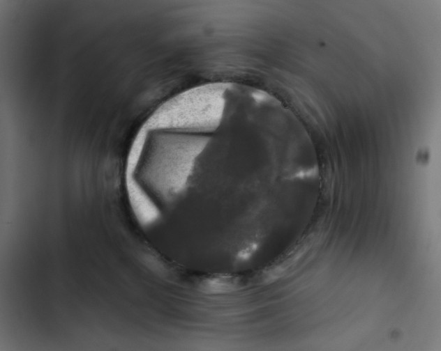 X0000102490232200809051329