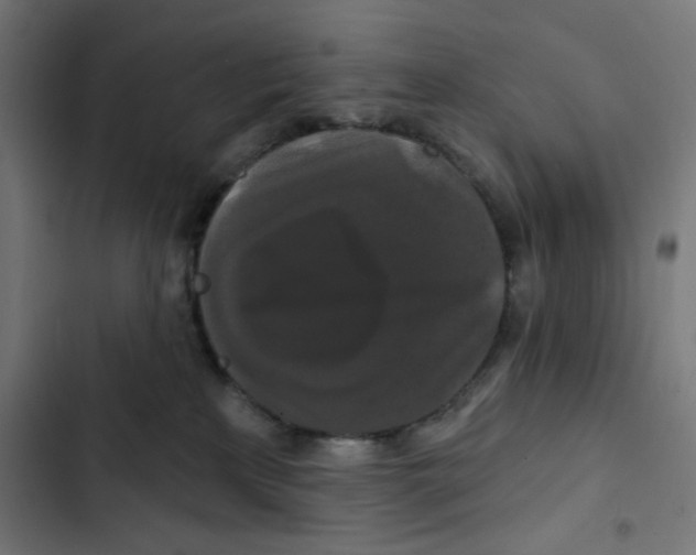 X0000102490233200809051329