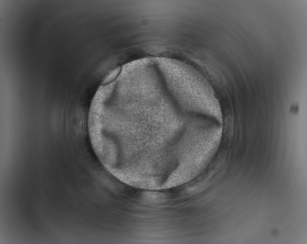 X0000102490234200809051329