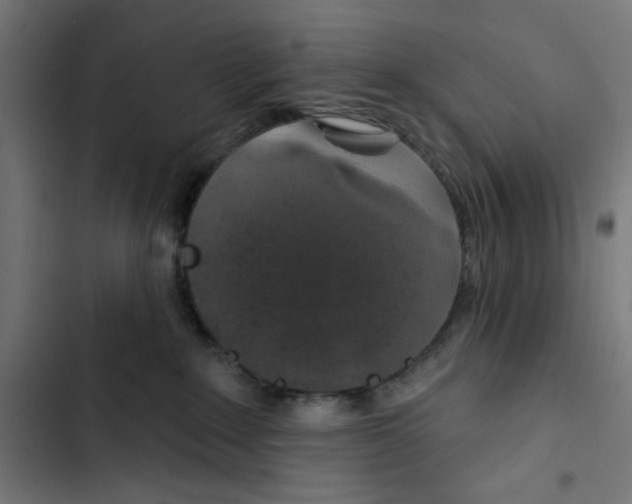 X0000102490235200809051329